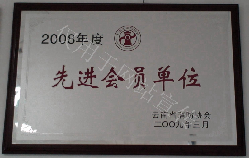 2008年度云南省消防协会先进会员单位