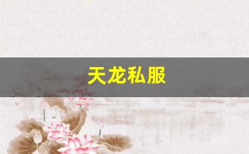 天龙私服(天龙手游) (3) 天龙私服(天龙手游) (3)