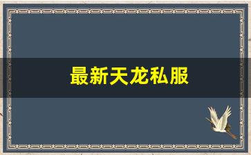 最新天龙私服 (11) 最新天龙私服 (11)