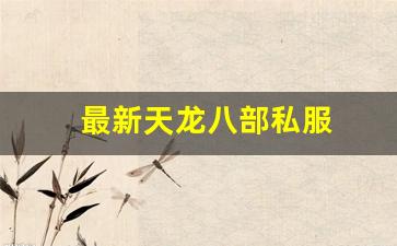 最新天龙八部私服 (4) 最新天龙八部私服 (4)