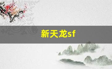 新天龙sf(新天龙sf最新发布网官网) (4)