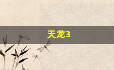 天龙3(天龙30反辐射导弹) (2)