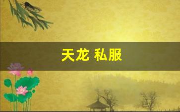 天龙 私服(天龙手游私sf下载) (11)