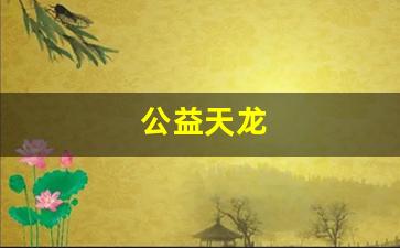 公益天龙(18岁了防沉迷还在) 公益天龙(18岁了防沉迷还在)