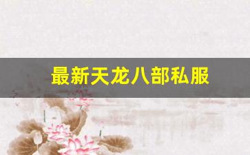 最新天龙八部私服 (4) 最新天龙八部私服 (4)