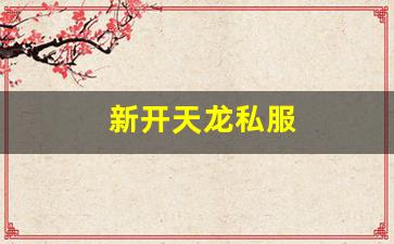 天龙发布网：新开天龙私服 (7)
