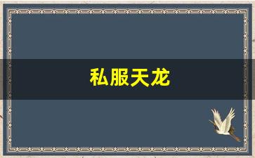 天龙八部最新私服：私服天龙