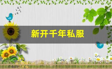 新开天龙八部发布网：新开千年私服 (12)