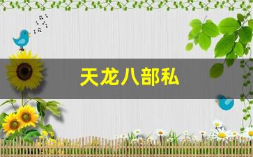 天龙八部私(天龙八部新版) (2)