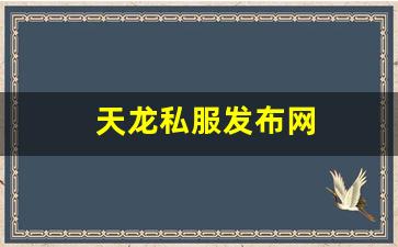 天龙私服发布网(最新天龙sf发布网列表) (13)